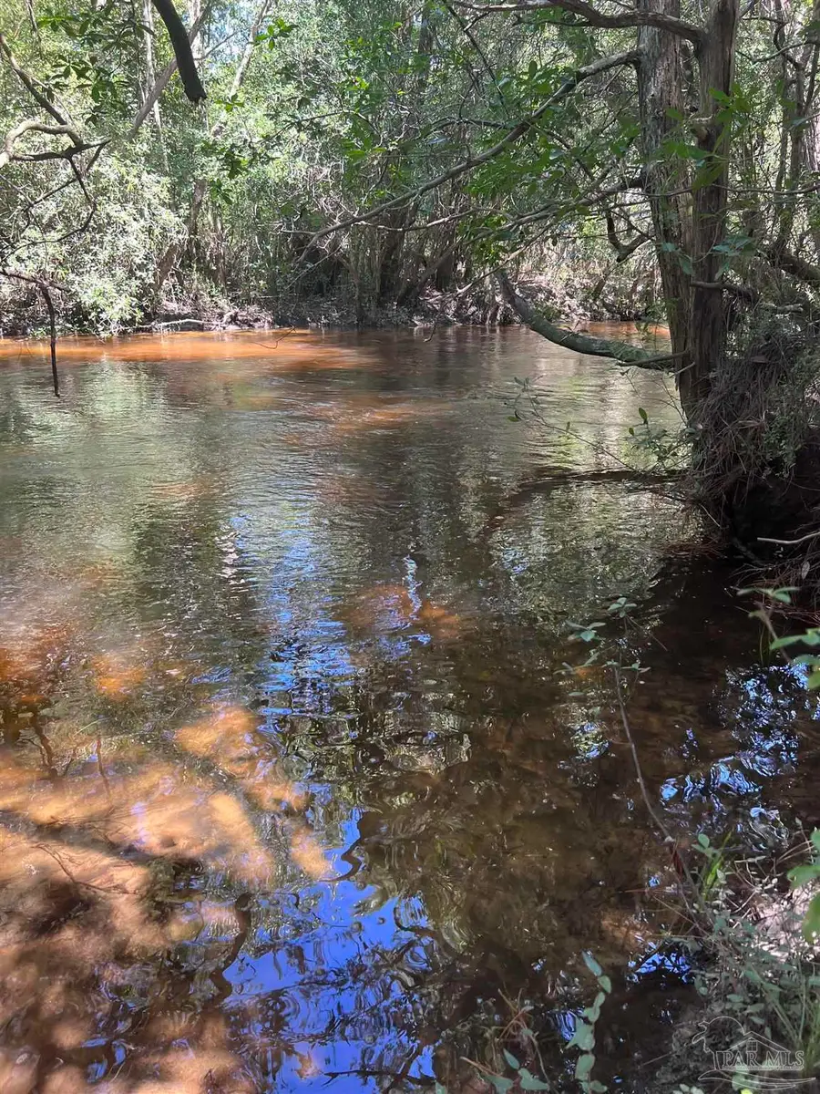 Hamilton Bridge Rd, Milton, FL 32570 - Image #3