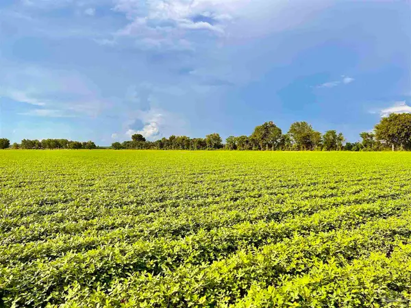 3500 Hwy 182 #7414 Wendt Farm Rd(next to 7410 Wendt Rd) Parcel B, Jay, FL 32565