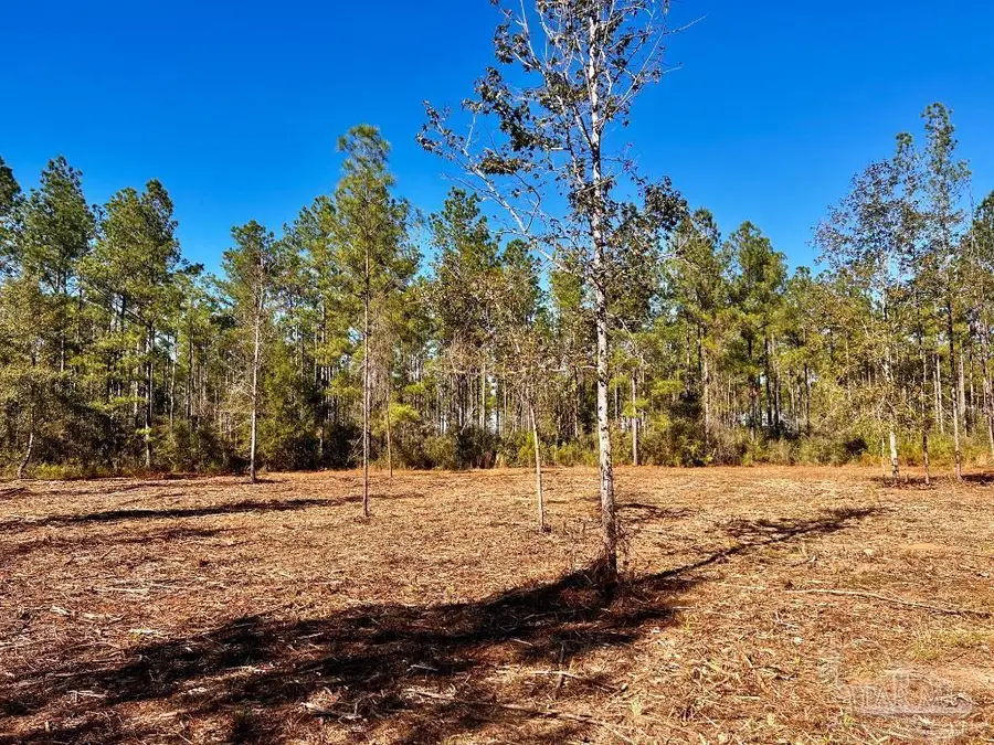 Lot 2 Denali Rd, Jay, FL 32565 - Image #2