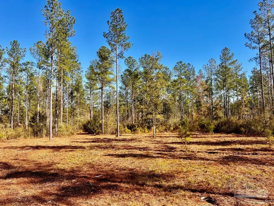 Lot 4 Denali Rd, Jay, FL 32565 - Image #2