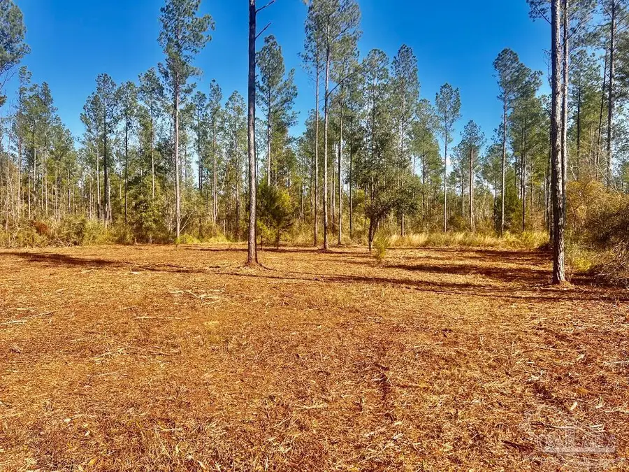 Lot 5 Denali Rd, Jay, FL 32565 - Image #2