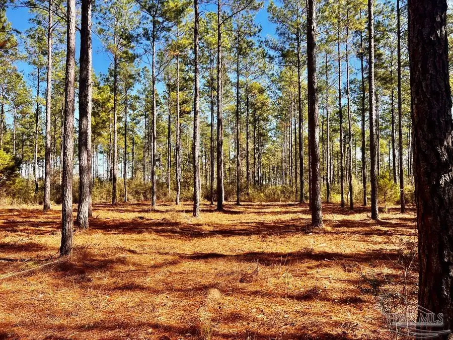 Lot 17 Denali Rd, Jay, FL 32565 - Image #2