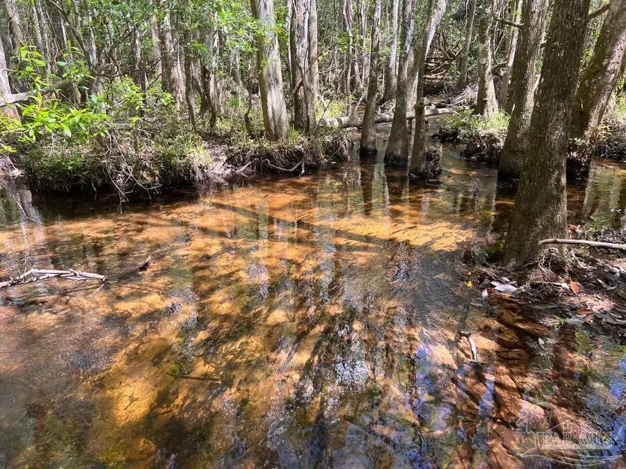 Lot 9 Creekdown Ln, Jay, FL 32565 - #2