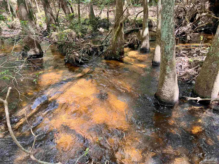 Lot 10 Naturewalk Dr, Jay, FL 32565 - #3