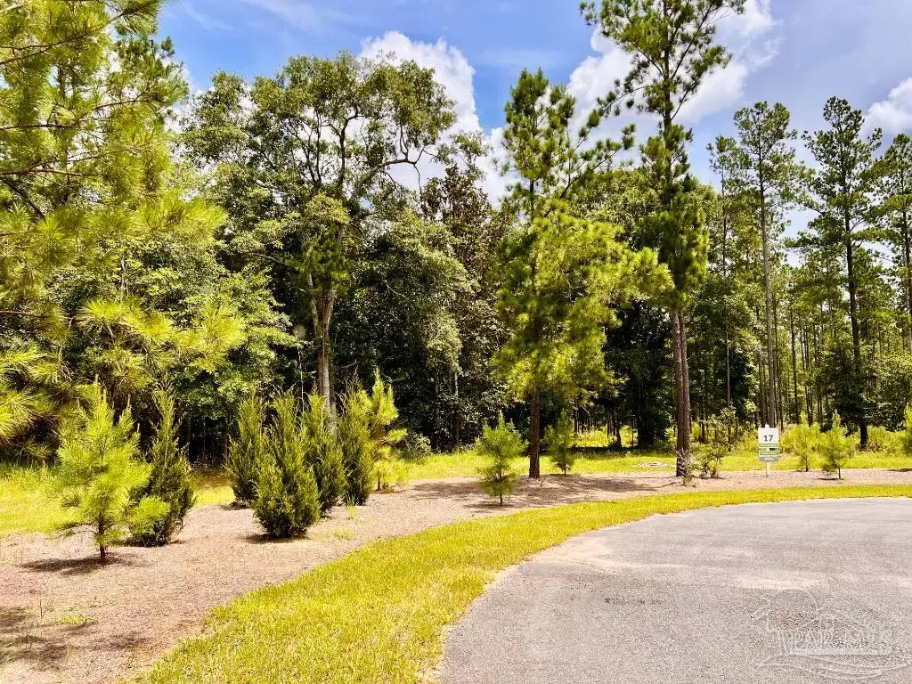Lot 17 Pine Preserve Ln, Jay, FL 32565 - #1