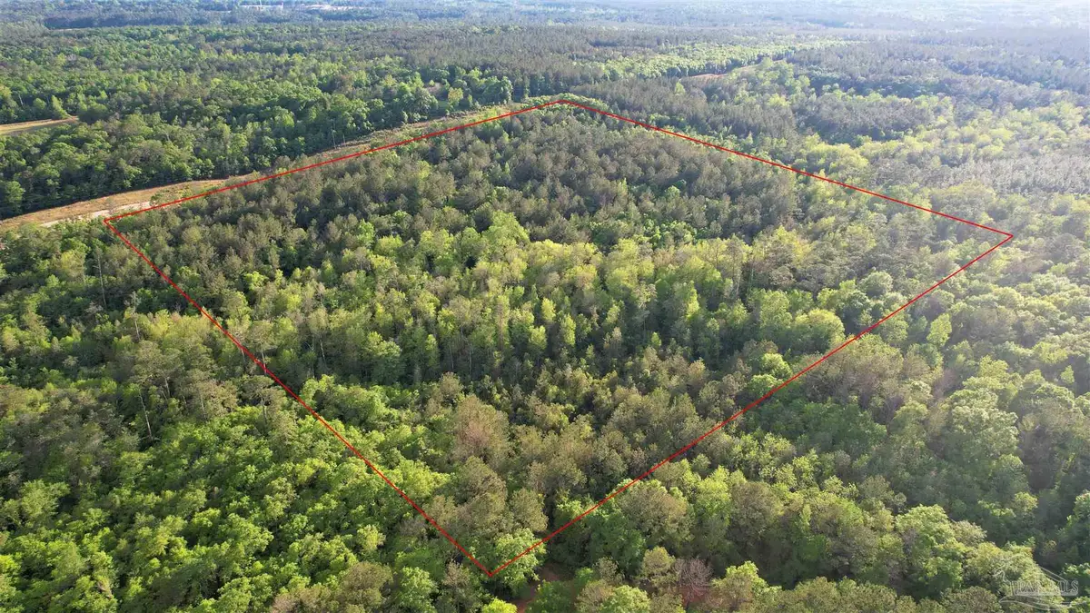 0 Pleasant Hill Rd, Century, FL 32535 - Image #1