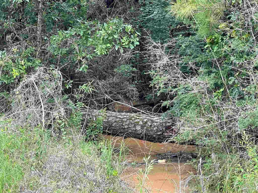 1131 Wolf Log Rd, Flomaton, AL 36441 - Image #2