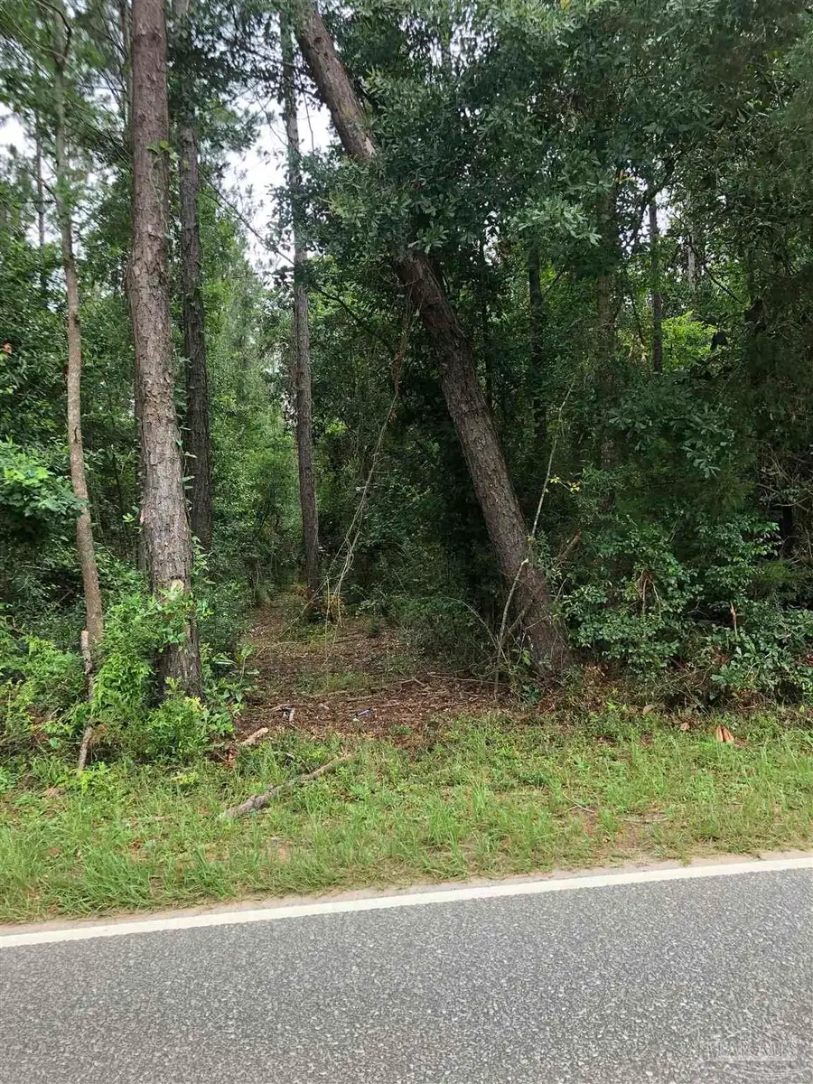 Lot 8 Virecent Rd, Cantonment, FL 32533 - #2