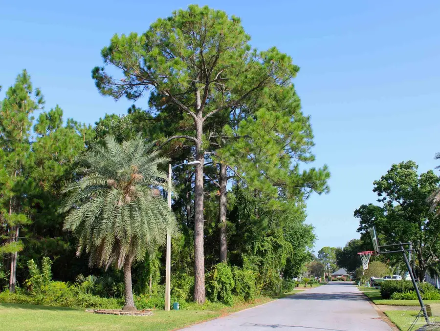 1621 Mauna Kea Ct, Gulf Breeze, FL 32563 - Image #3