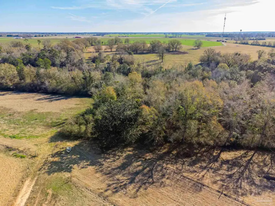 Lot 13 Hazel Godwin Rd, Jay, FL 32565 - Image #2