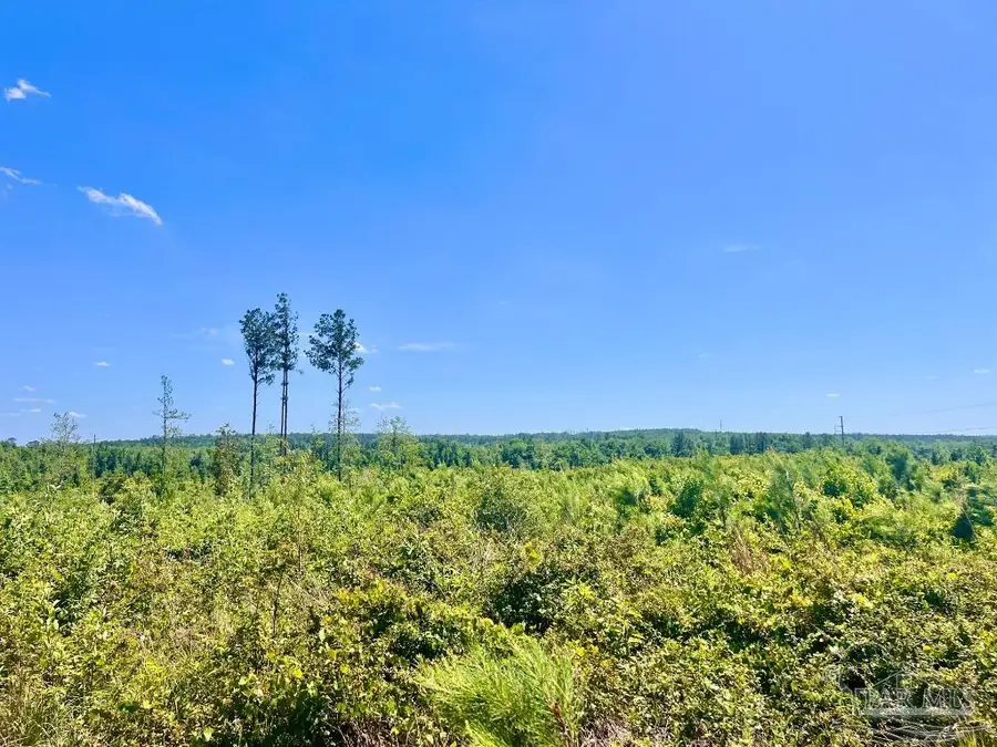 Lot 13-C Cotton Lake Rd, Molino, FL 32577 - Image #2