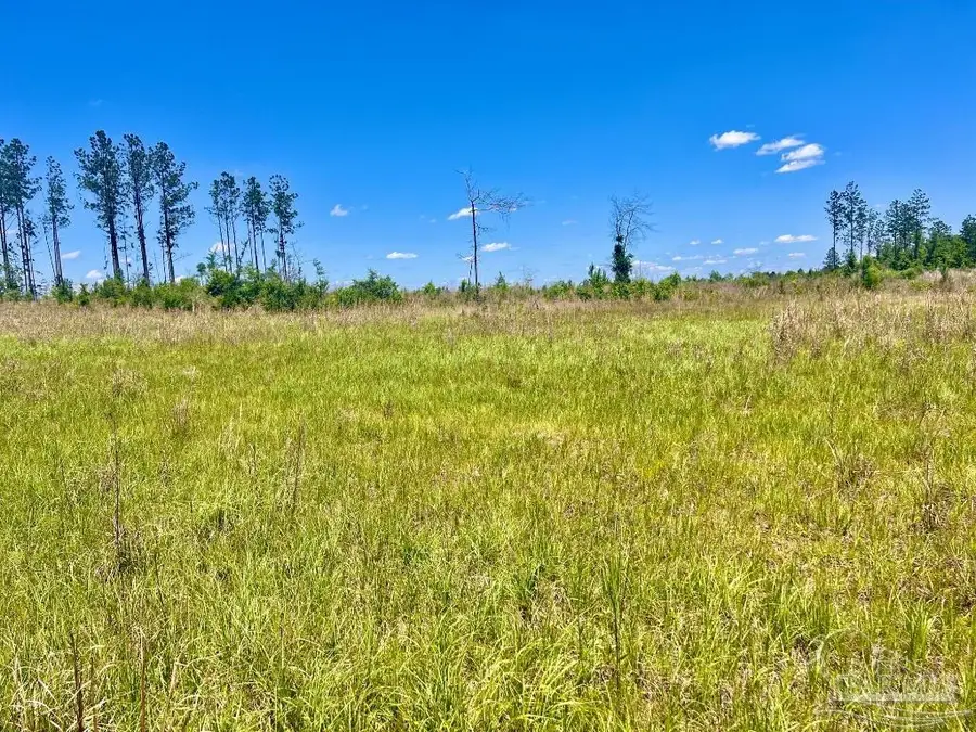 Lot 13-C Cotton Lake Rd, Molino, FL 32577 - Image #3