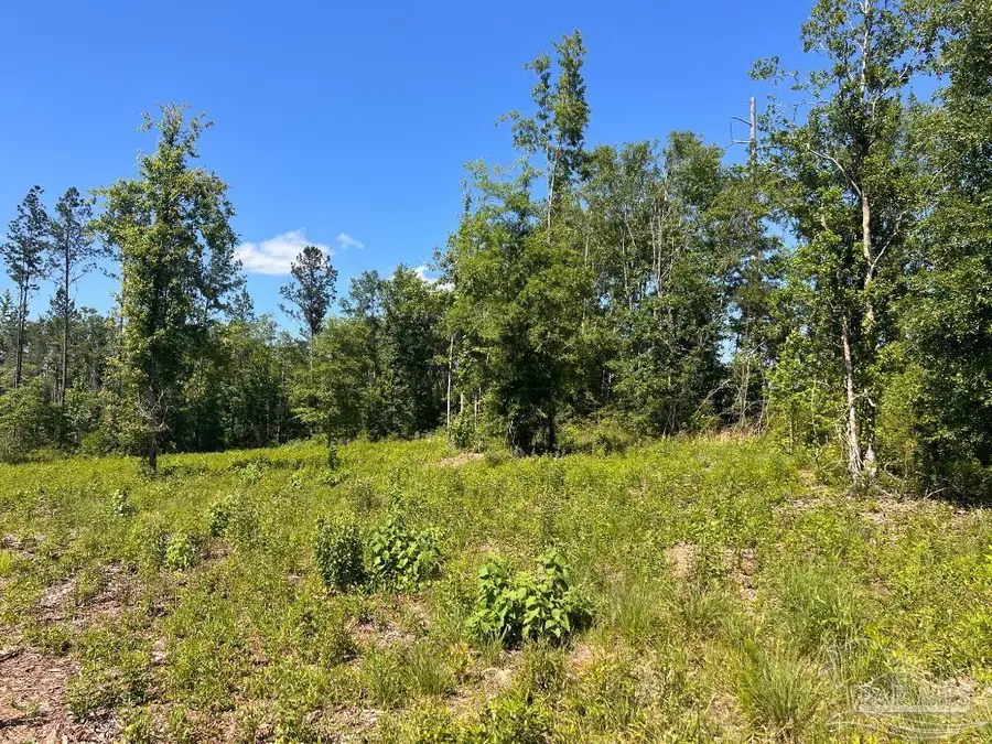 Lot 14-C Hwy 29, Molino, FL 32577 - Image #2