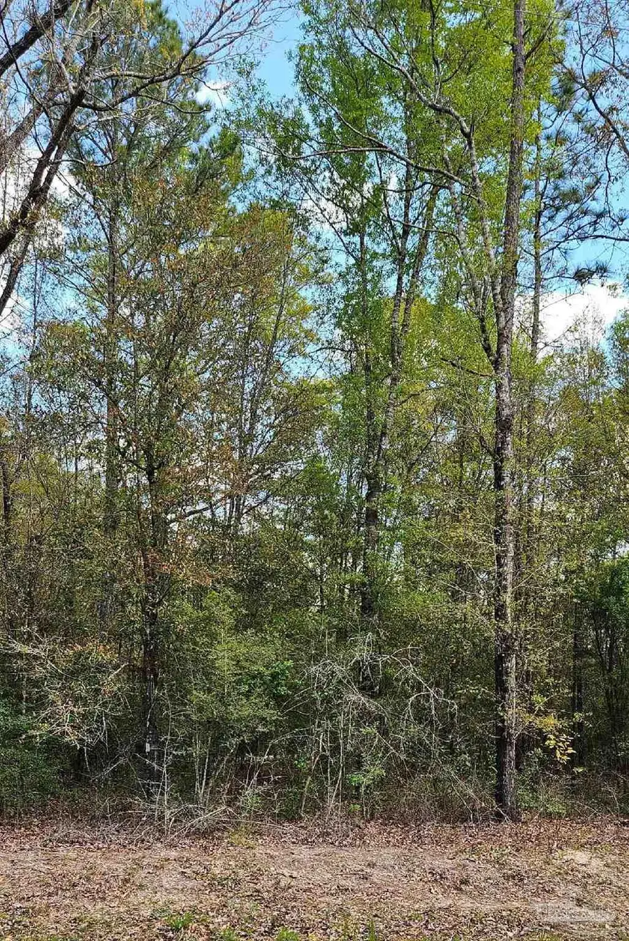 Pleasant Grove Rd, Milton, FL 32570 - Image #3