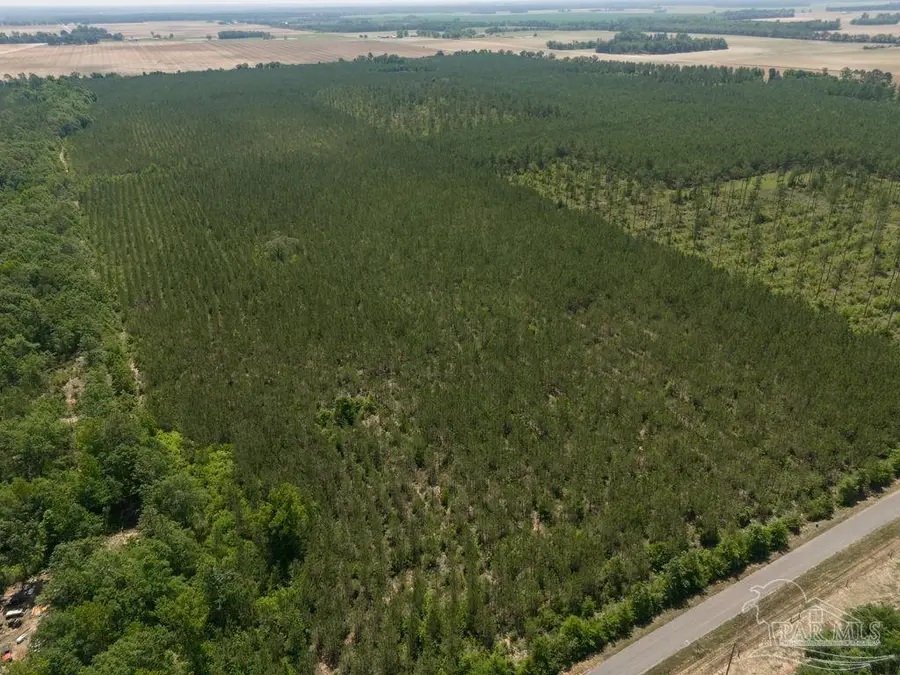 8 Bud Diamond Rd, Jay, FL 32565 - Image #3