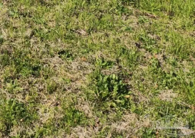 000 Hwy 90 #At the intersection of Hwy 90 & Timber Crest Rd., Milton, FL 32583 - Image #1