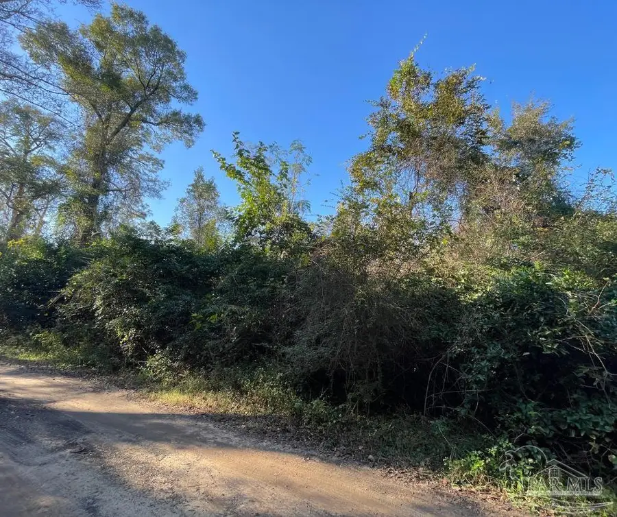 1000 Block Hicks St, Cantonment, FL 32533 - Image #3