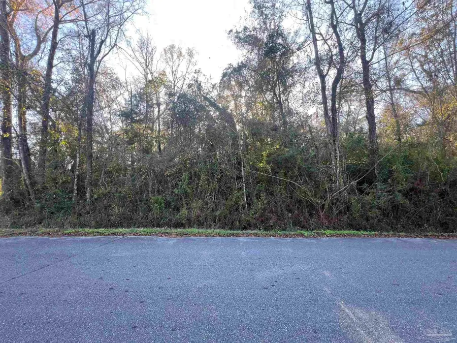 Brickyard At Blake, Molino, FL 32577 - Image #2