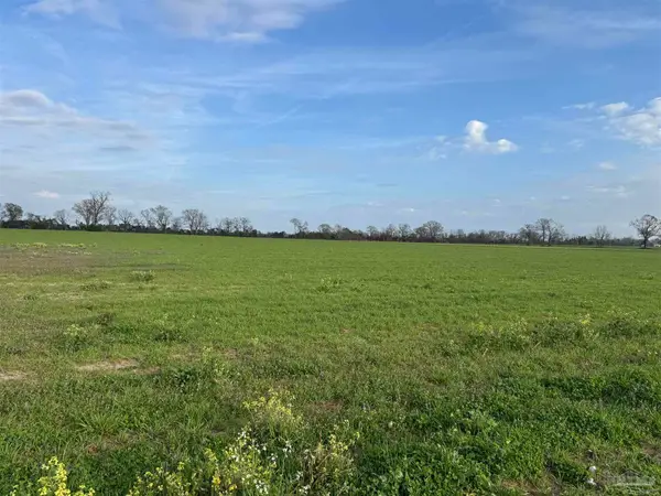 Vinson Ln, Jay, FL 32565