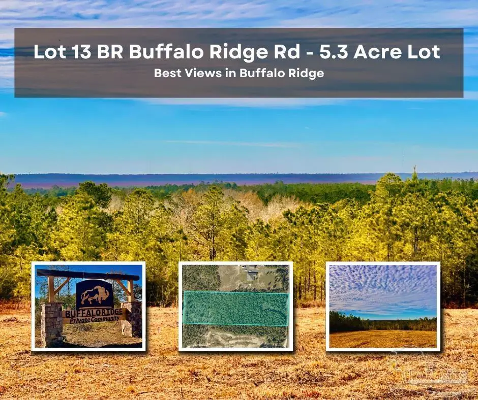 Lot 13 BR Buffalo Ridge Rd, Pace, FL 32571 - Image #1