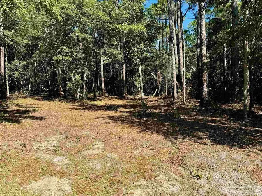 0000 Owensville Rd, Milton, FL 32583 - Image #3