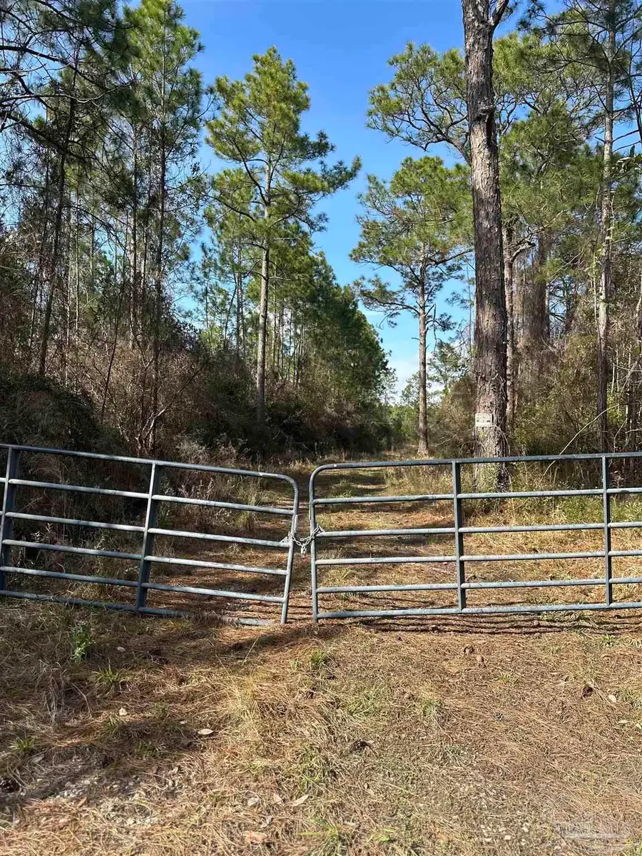 Robinson Point Rd, Milton, FL 32583 - Image #3