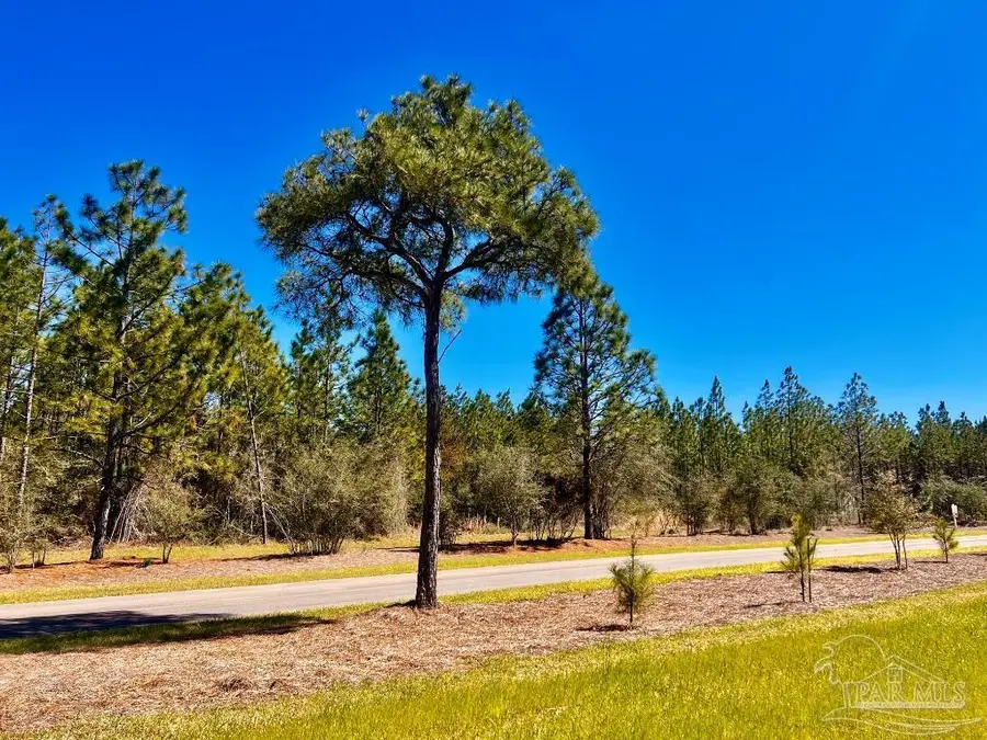Lot 33 Pine Preserve Ln, Pace, FL 32571 - Image #3