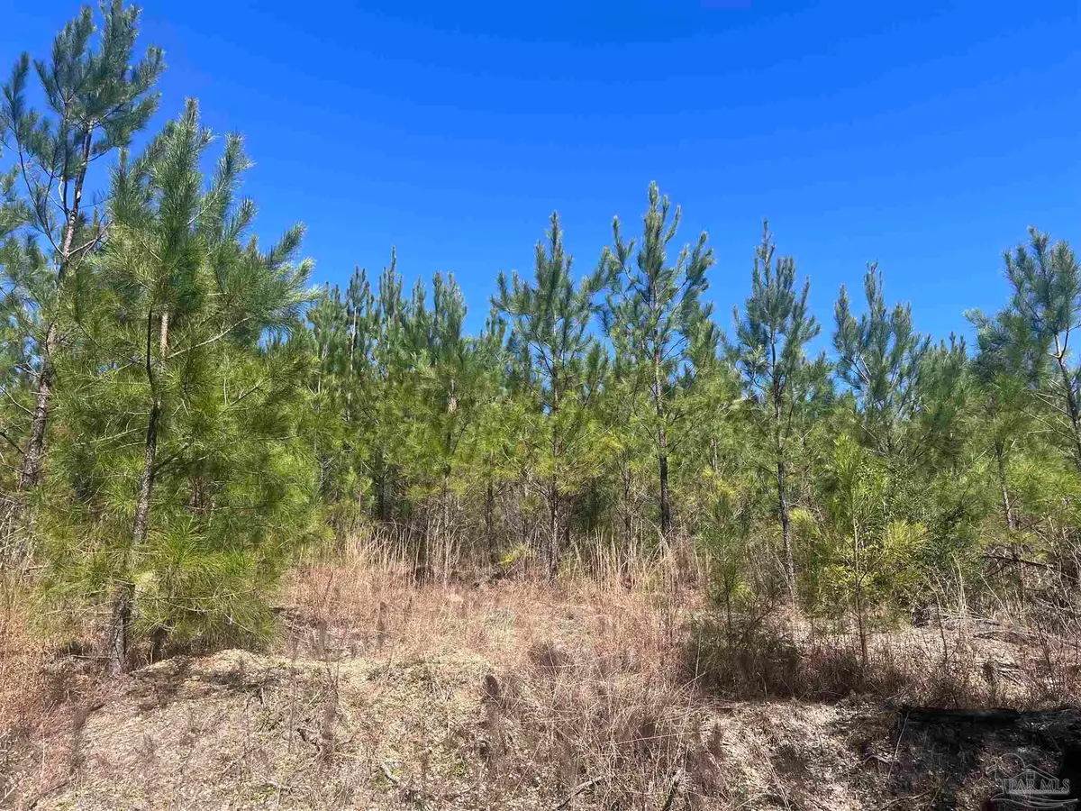 7 Robinsonville Rd, Atmore, AL 36502 - Image #1