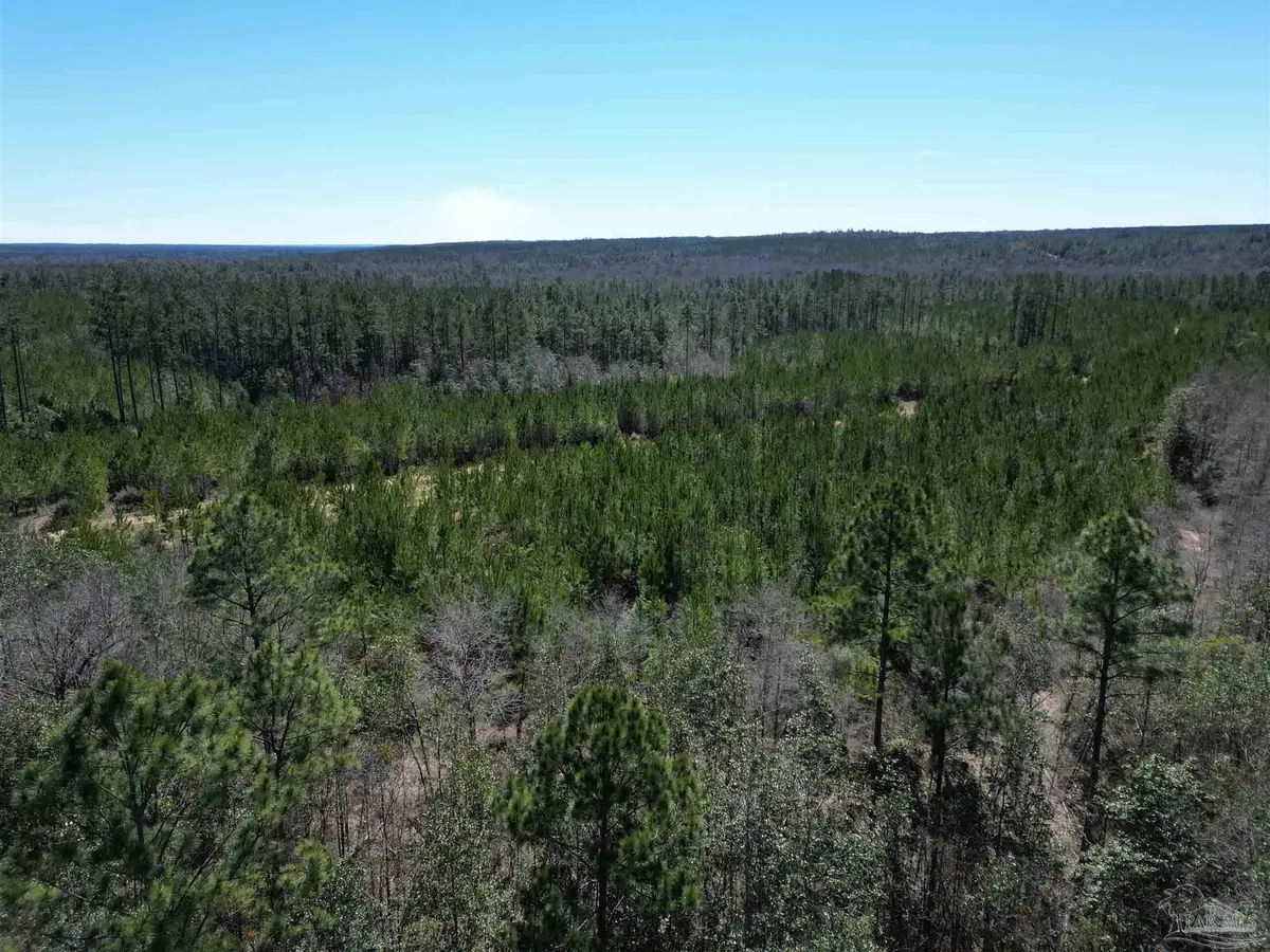 5 Robinsonville Rd, Atmore, AL 36502 - #1