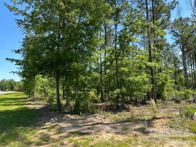 17 Steele Meadow Dr, Pace, FL 32571 - Image #3