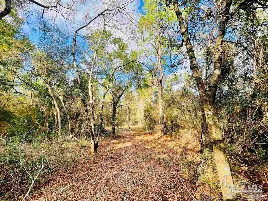 00 (Lot A & B) Edith Ave, Milton, FL 32570 - Image #3