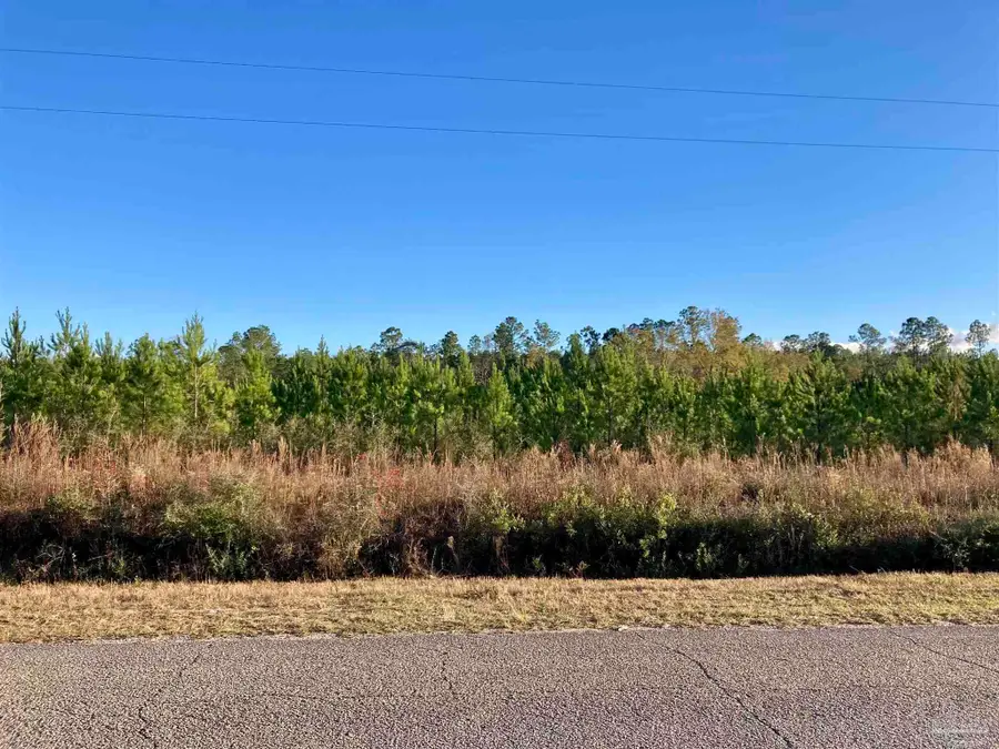 Lot 15 Mineral Springs Rd, Jay, FL 32565 - Image #2