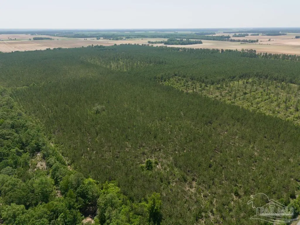 11 Bud Diamond Rd, Jay, FL 32565 - Image #1