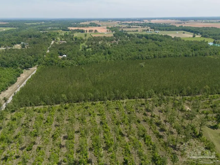 11 Bud Diamond Rd, Jay, FL 32565 - Image #2