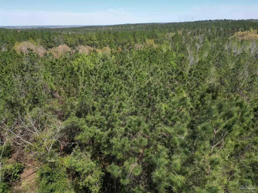 00 Dykestown Rd, Jay, FL 32565 - Image #2