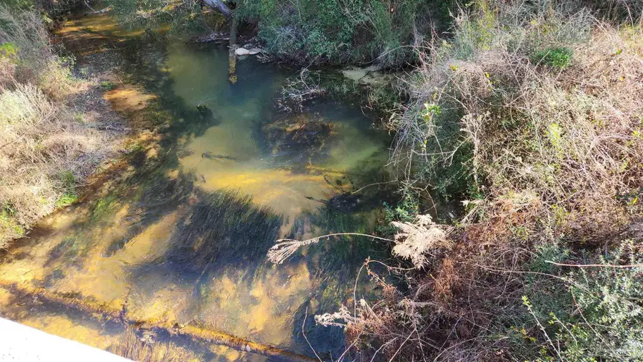 Sherwood Forest Dr, Milton, FL 32570 - Image #2