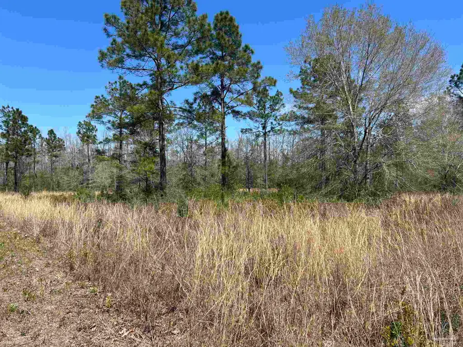 6828 Tranquility Trl, Pace, FL 32571 - Image #2