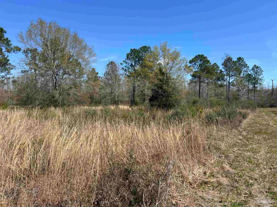 6828 Tranquility Trl, Pace, FL 32571 - Image #3