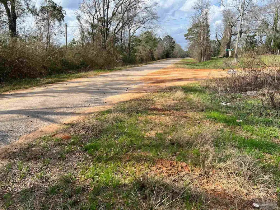 0 T Bridge Rd, Red Level, AL 36474 - Image #2