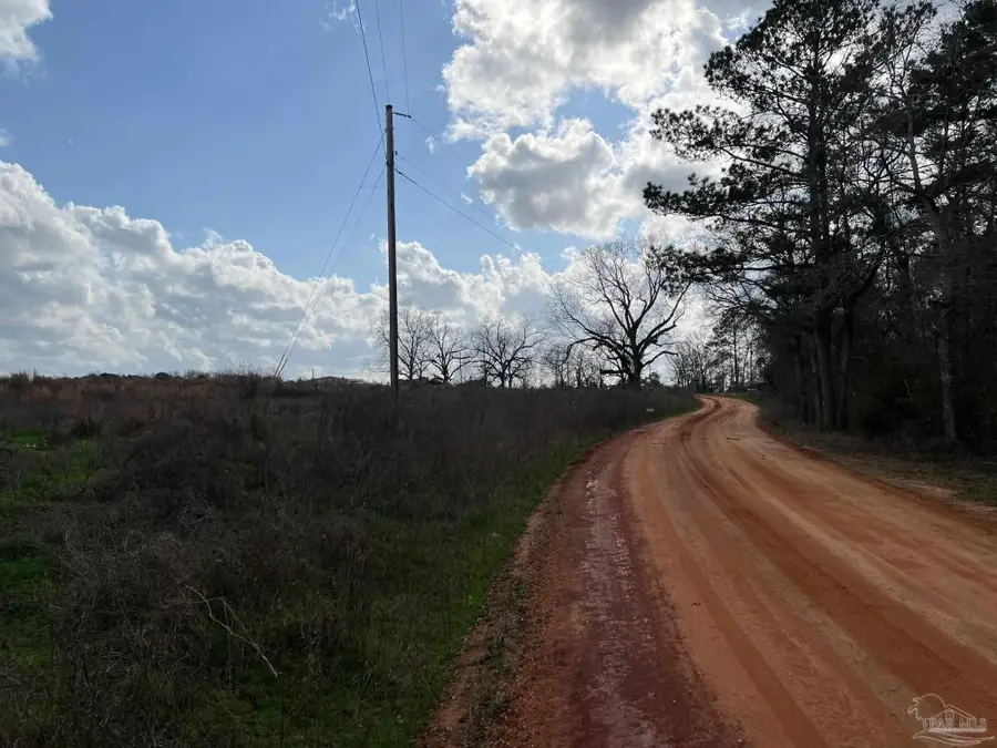 0 T Bridge Rd, Red Level, AL 36474 - Image #3