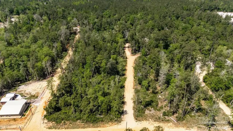 3.5 Wolf Log Rd, Flomaton, AL 36441 - Image #2