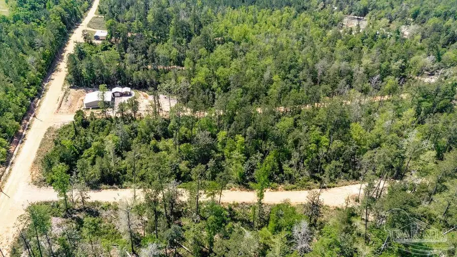 3.5 Wolf Log Rd, Flomaton, AL 36441 - Image #3