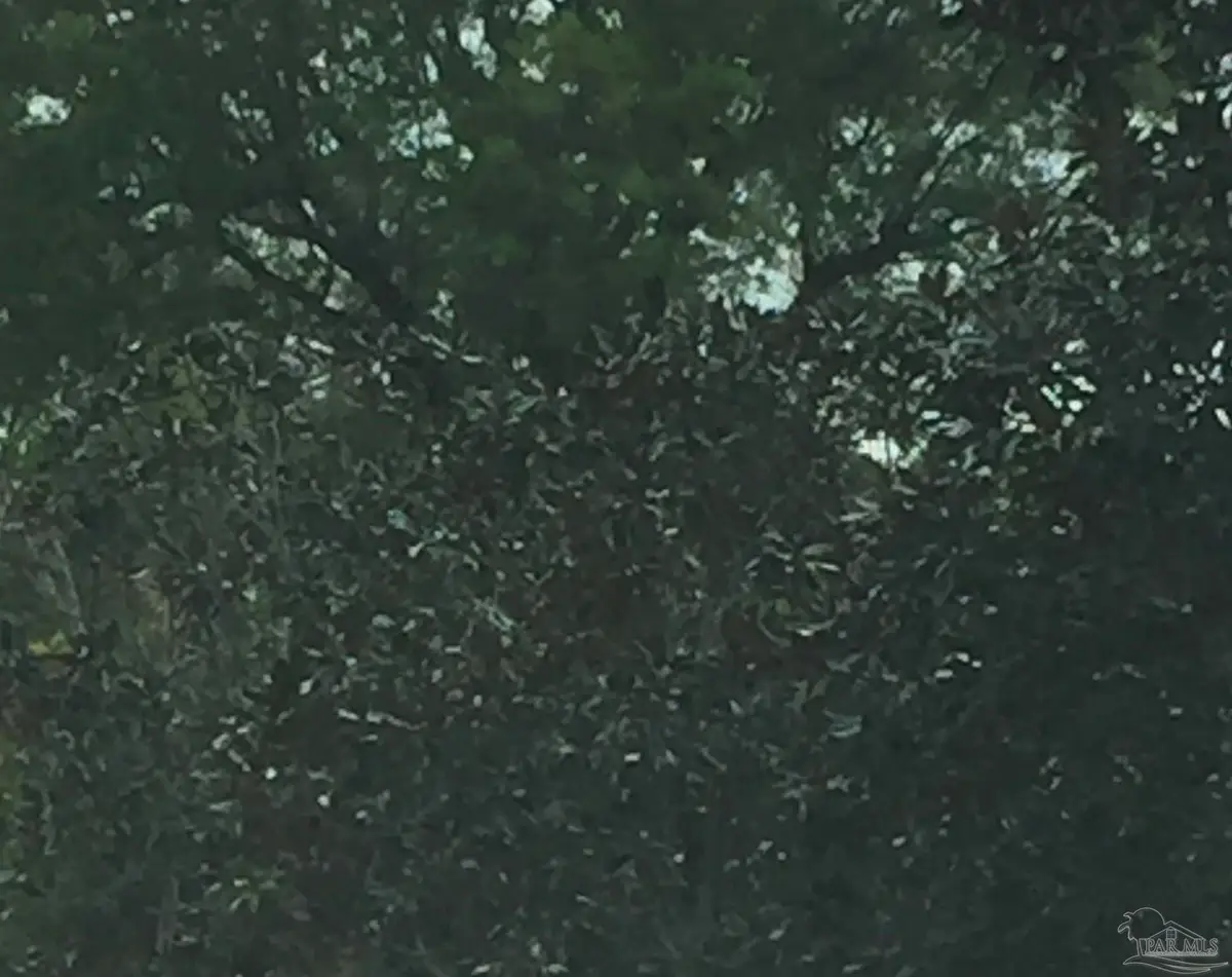 Lantana Dr, Lillian, AL 36549 - Image #1