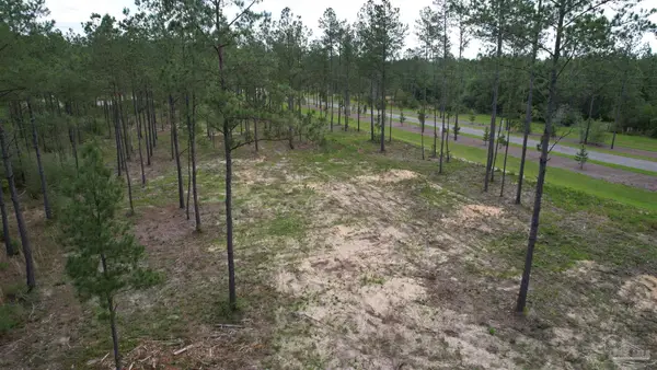 9118 Pine Preserve Ln #LOT 21, Jay, FL 32565