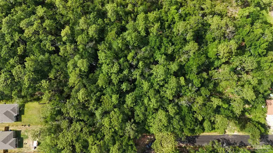 Lot 7 Forestbrook Dr, Milton, FL 32583 - Image #3