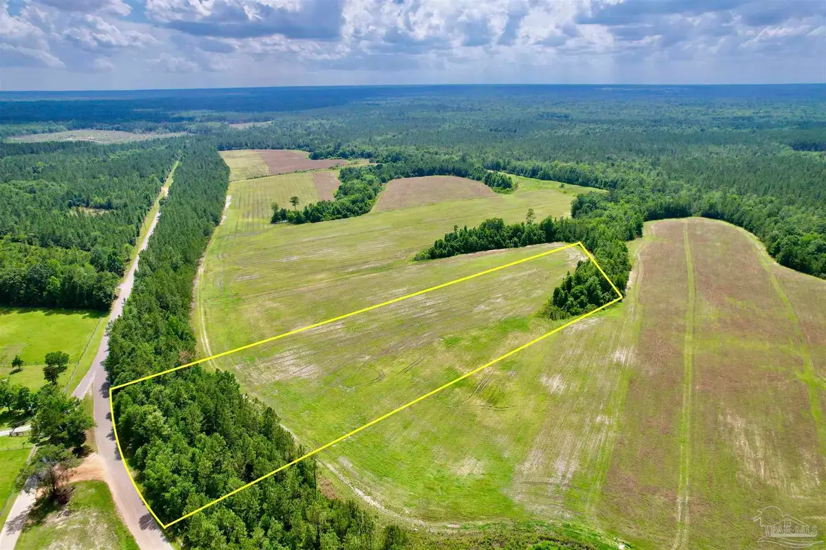 Lot 49 Mineral Springs Rd, Jay, FL 32565 - Image #1