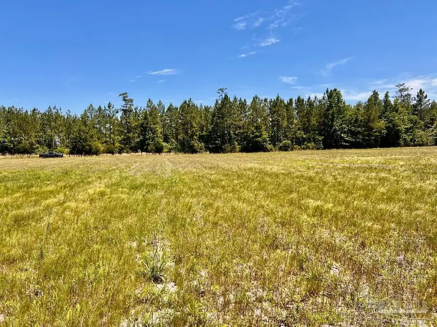 Lot 50 Mineral Springs Rd, Jay, FL 32565 - Image #3