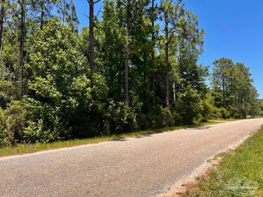 Lot 51 Mineral Springs Rd, Jay, FL 32565 - Image #3