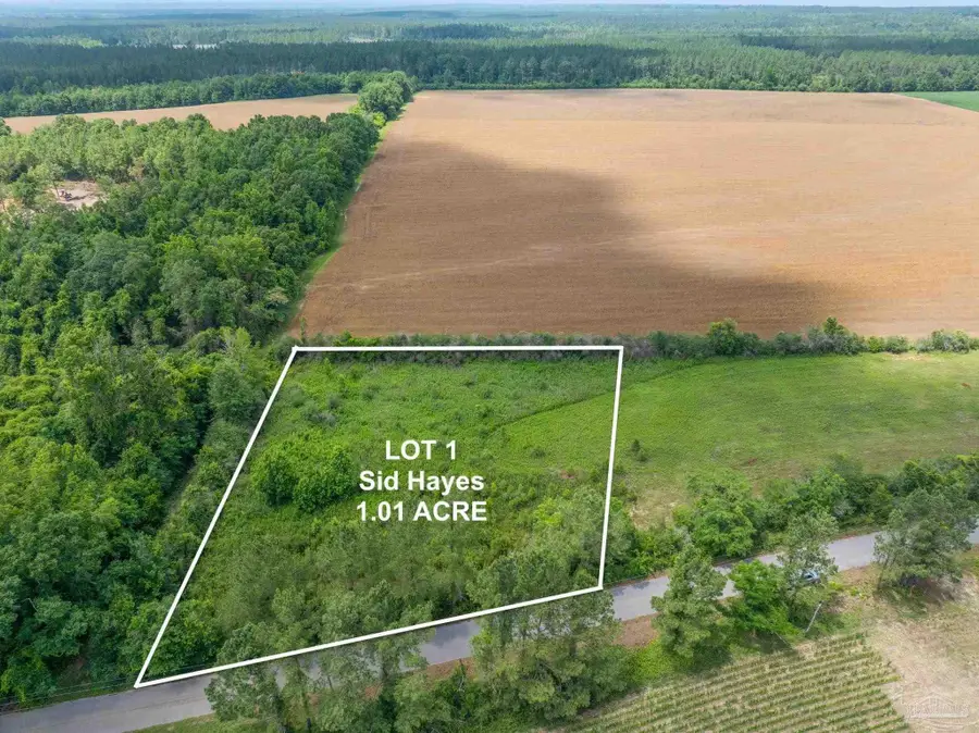 Lot 1 Sid Hayes Rd, Jay, FL 32565 - Image #2