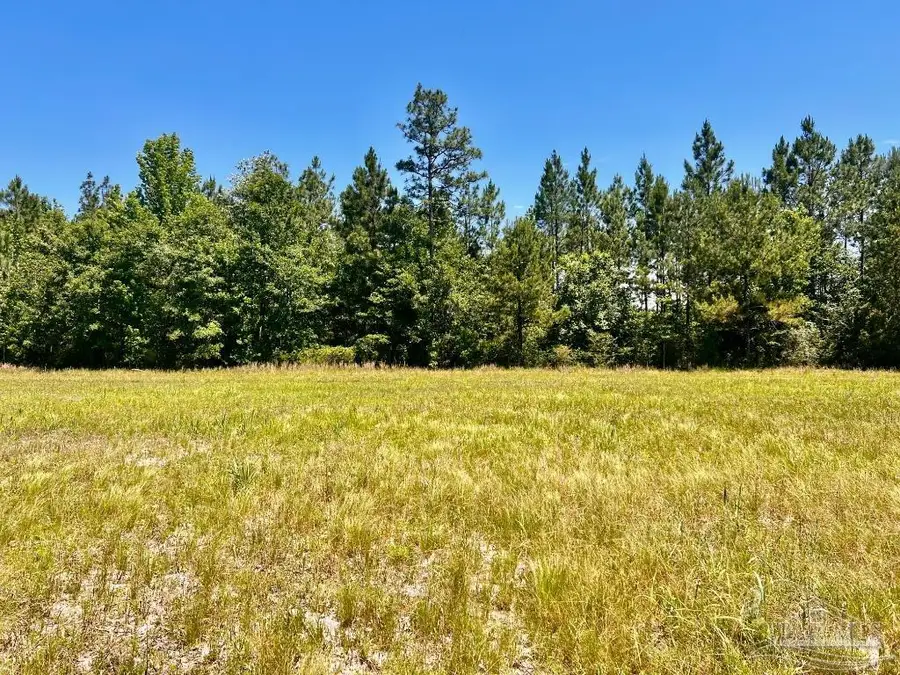 Lot 48 to 56 Mineral Springs Rd, Jay, FL 32565 - Image #3